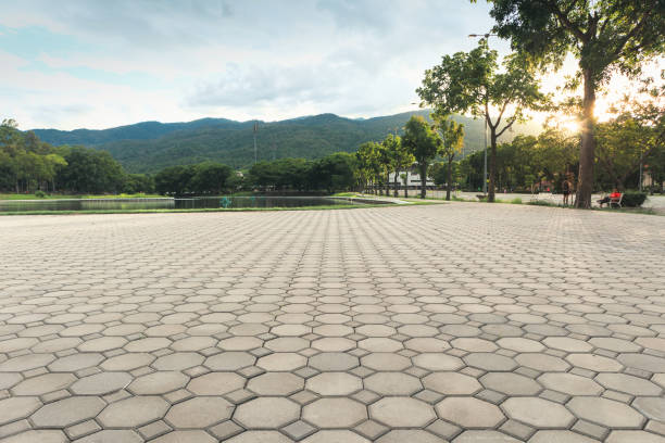 Best Concrete Paver Driveway  in Gladeville, TN